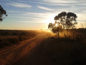 Sunrise on the lake farm, about to begin the day's harvest