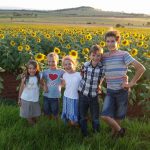 The family and the field of sunflowers