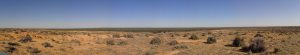 Panorama of the lake with spelt crop in the distance