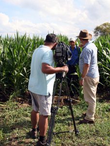 Gordo and Pete filming Steve coming out of the maize