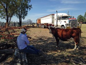 Waiting while Bruce gets the truck ready