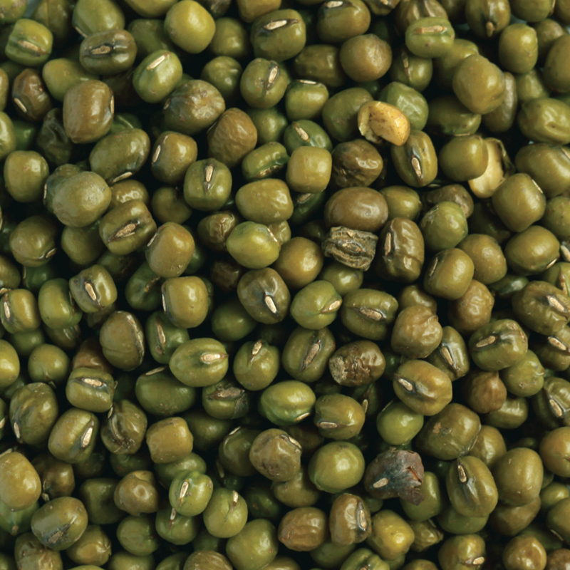 簡易包装  Mungo beans 400g  2021高い素材 メール便対応可能 緑豆