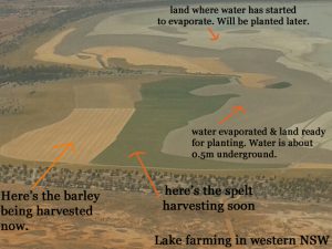 A diagram showing the planting of various crops and their stage of growth
