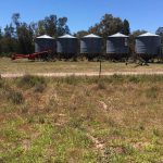 These silos are used to store the grain on the farm before transporting to Kialla
