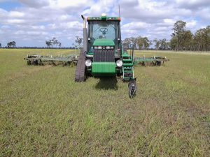 Casey ploughing weeds prior to planting