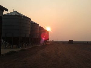 Silos on the farm for storing harvested grain