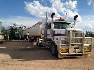 The truck is loaded with wheat