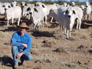 Matt with the cattle in the paddock