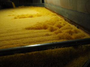 Millet is processed