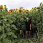 Tammy's daughter Sophie stands next to the sunflowers to indicate the height of the crop.
