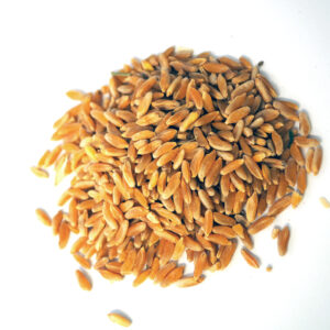 KAMUT® Khorasan grain is guaranteed to be organic, never be hybridised or genetically modified.
