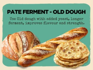 Pate Ferment- Old Dough